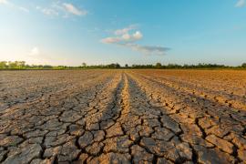 Exploring Innovations to Mitigate Climate Shocks in Food Supply Chains